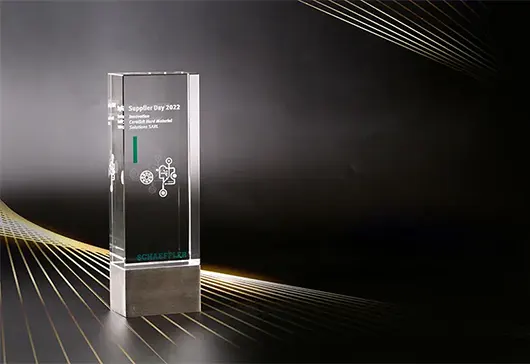 2022 Schaeffler Group Supplier Award